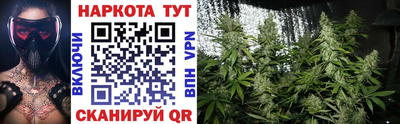 Купить закладку АМФ  Кокаин  Alpha PVP  Меф  Гашиш  Codein  Канабис  Великий Новгород