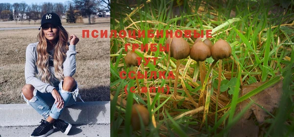 твердый Коряжма