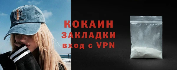 твердый Коряжма