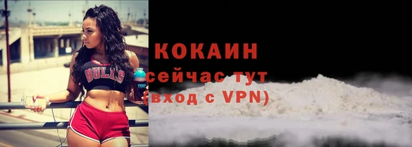 твердый Коряжма