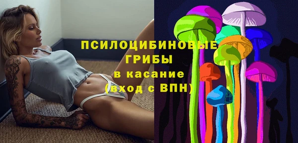 твердый Коряжма