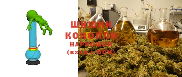 ПСИЛОЦИБИНОВЫЕ ГРИБЫ Корсаков