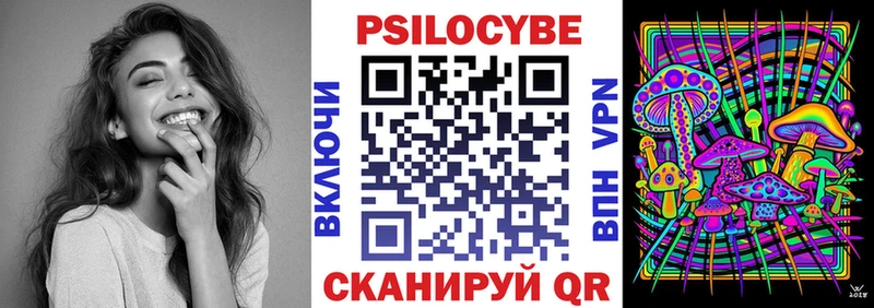 Купить закладки  Великий Новгород  Псилоцибиновые грибы Psilocybine cubensis 