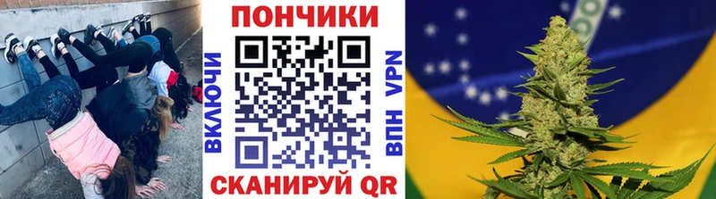 Купить где  Великий Новгород  Конопля сатива 